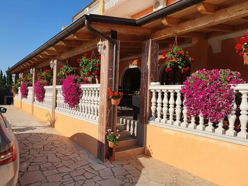 Villa Nikolina เมดูลิน ภายนอก รูปภาพ